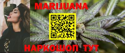 индика Абакан