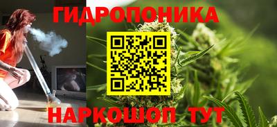 индика Абакан
