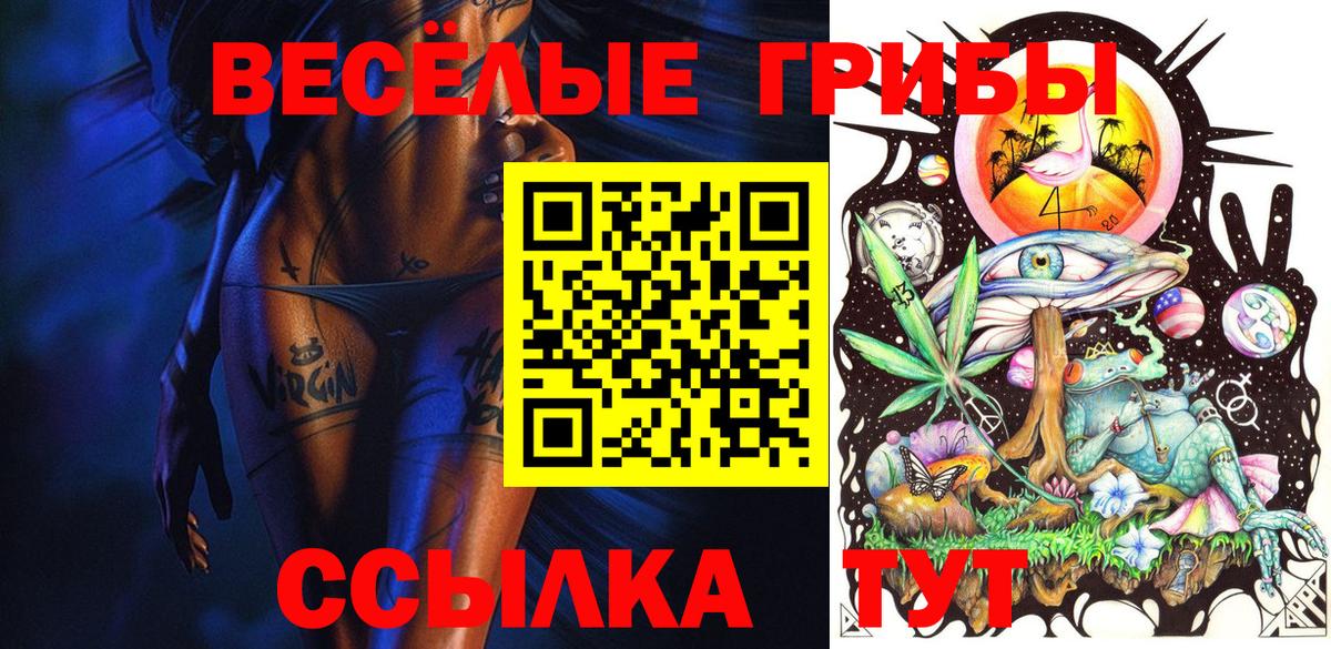 Галлюциногенные грибы ЛСД Алейск