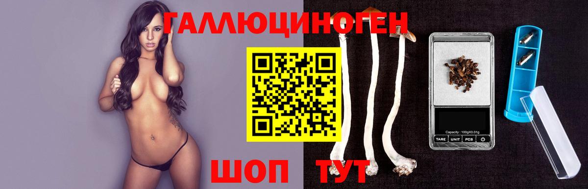 Галлюциногенные грибы MAGIC MUSHROOMS  Вход с VPN  Алейск 